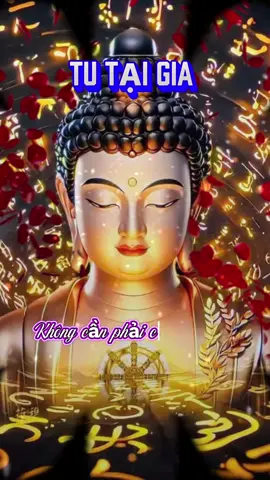 #CapCut Nam Mô A Di Phật,gieo duyên cả nhà niệm Phật 🙏🙏🙏#xuhuongtiktok 