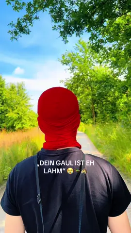 Hätte ich auch nie gedacht, dass es ein Pferdetrend zu unserem Sound wird 🤣🐎 #fy #viral #trend #bassaddict 