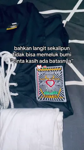 Cinta kasih ada batasnya🪷 #pshtstory #psht1922 #pshtpusatmadiun #psht #latihan #terate 