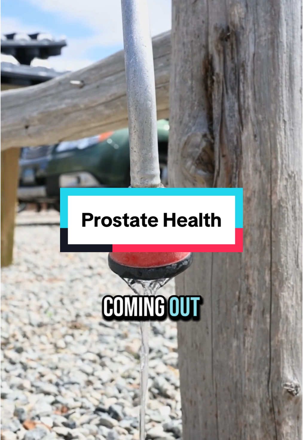 Prostate health is one of the most important concerns for men over 35. This just may be the bundle you’re looking for on the TikTok shop. #prostatehealth #nitricoxide #prostateproblems #treatmentofprostateenlargement #tiktokshopcreatorpicks 