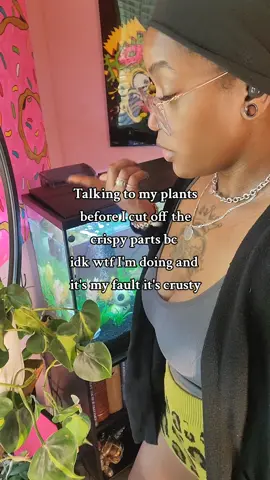 🌿✂️  #PlantTok #plantmom #fypシ  #philodendron #indoorplants 