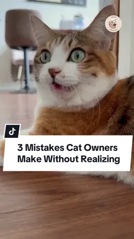 Many cat lovers make these common mistakes without even knowing it… Waking your cat up, forcing cuddles, or punishing them can break their trust. Your cat isn’t being difficult — they’re just being a cat. Love them the way they need it#CatTips #CatCare #CatLovers #RespectYourCat #HappyCat 