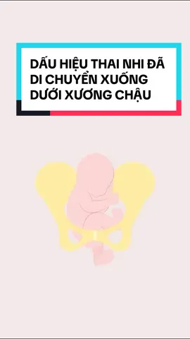 Dấu hiệu con đã di chuyển dưới xương chậu mẹ cần chú ý #kienthucmangthai #lammegenz #mebau #pregnancy #pregnant #pregnantlife #mangthai #xuhuong 