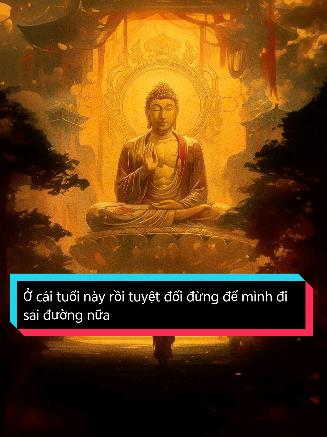 Ở cái tuổi này rồi tuyệt đối đừng để mình đi sai đường nữa. #daoly #trietlycuocsong #trending #viral #mrngam 