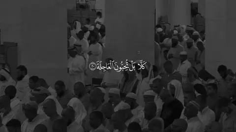 ﴿أَيَحسَبُ الإِنسانُ أَن يُترَكَ سُدًى﴾  #بندر_بليلة #سورة_القيامة #قرآن #تلاوات #الحرم_المكي #تلاوات_خاشعة #قران #fyp 