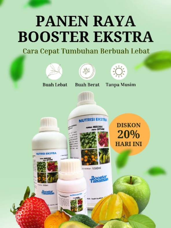 Jadikan tanaman anda berbuah Lebat dengan booster Nutrisi Ekstra #boosterbuah #pupukorganik #pupukbuah #pupukcair #pertanian #tanamanbuah #tabulampot 