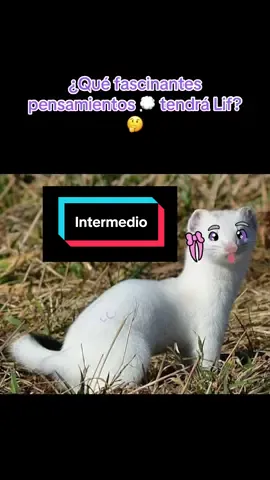 Pensamientos profundos 💭 #AmazingDigitalCircus #LaFurryteria #FurryFandom 