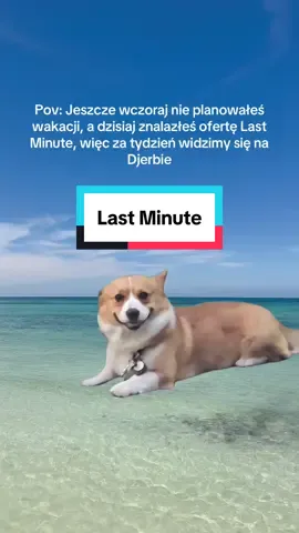 Kto teraz szuka ofert Last Minute? ✈️ #coraltravelpoland #kochajipodrozuj #lastminute 