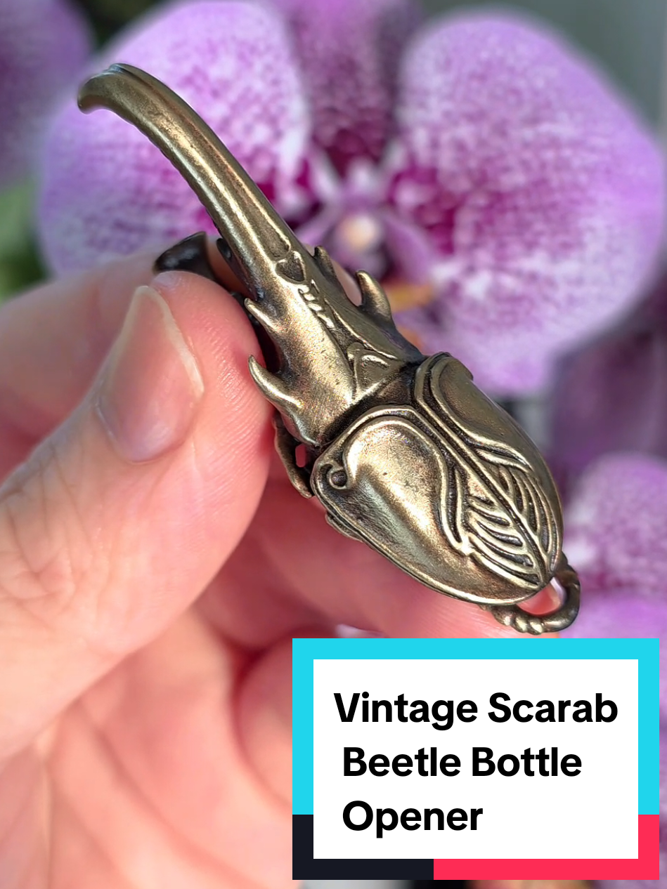 This vintage design scarab beetle bottle opener is a perfect gift for bug enthusiasts or collectors of unique items. The scarab is incredibly detailed and sports a vintage look that just makes this product so cool🔆🪲🔥 Open bottles in style or gift this to a friend who would love this! Linked in the video if you would like to buy now! ❤️ #beetle #bottleopener #scarab #vintage #giftideas #uniquegifts 