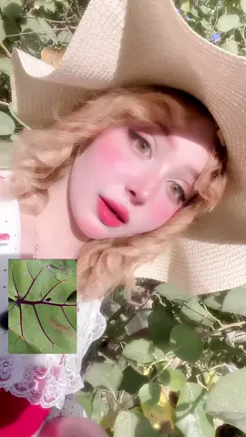 آحلى شيء هي الطبيعة و الرياضيات 🌿🩷 #NatureOfMath #FibonacciFlowers #MathInNature #FractalBeauty #MathMagic #GoldenRatio #ScienceTikTok #NatureLover #Educational #TikTokLearning #MathTrick #STEM