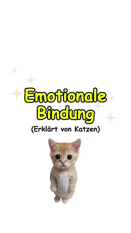 Emotionale Bindung, erklärt von Katzen. #wissen #wissenswert #erklärt #catanimation #angst 
