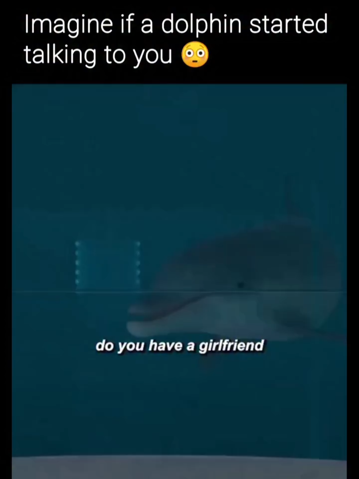 Why does this feel one update away from being your ex’s next tech startup 😭💀 🎬 Made for Love (2021) Imagine escaping a toxic marriage only to find out… your husband implanted a chip in your brain so he can literally track your thoughts. Yeah—Hazel Green (Cristin Milioti) did not sign up for this level of clinginess. 💡 The Setup: Hazel bolts from her 10-years-too-long marriage to tech billionaire Byron Gogol (Billy Magnussen), a low-key psycho who runs “The Hub”—a Silicon Valley dystopia disguised as luxury. Problem? Byron already connected their minds through his new “Made for Love” chip… and he’s watching everything. 👁️ What follows is… 🔒 A surreal escape into a world with no privacy 💔 A deep dive into control, gaslighting, and reclaiming autonomy 😂 Surprisingly dark comedy involving a synthetic dolphin, a sex doll named Diane, and Hazel’s hilariously off-the-grid dad This show is like Black Mirror had a chaotic love child with Fleabag. Unsettling, absurd, and weirdly plausible in the age of smart homes and data mining. 👉 If you’ve ever felt like Siri’s watching too closely… follow @themoviecate for more tech-nightmare bangers 🤖✨ #MadeForLove #CristinMilioti #surveillance #techgonewrong #DystopianDating #EscapeTheHub #BrainChipDrama #blackmirror #FeministSciFi #WhyAmILowkeyScaredNow