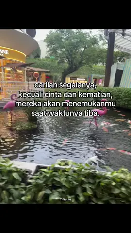 #tiffel #tiffelid #katakata #storywa #storytime #fyp #foryou #xybca #fypage #viraltiktok #fy #4u #xyzbca #mindset #quotesaesthetic #reminder #fokus #masadepan #sukses #kaya #perintismuda #pebisnissukses #pengusahamuda #mindsetmotivation #motivasi #vibes #motivator #katamotivasi #motivasihidup #mindsetsukses #foryoupage 