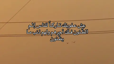 سوي اعاده نشر🫶🏻#شعر #مالي_خلق_احط_هاشتاقات #محمود_الجبلي #مشاهدات #tiktokarab #viral 