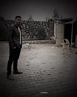 #shexrozhen #malarozh #irozhen #rozhen 