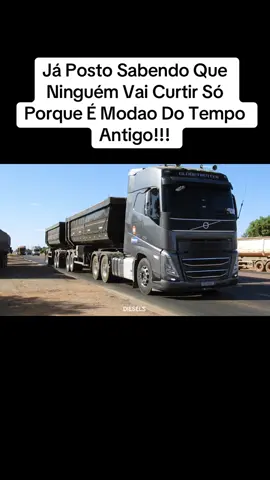 Passarinho Do Peito Amarelo! #musica #sertanejo #modao #caminhao #volvo #fh #top #videoviral #folow #gratidao 