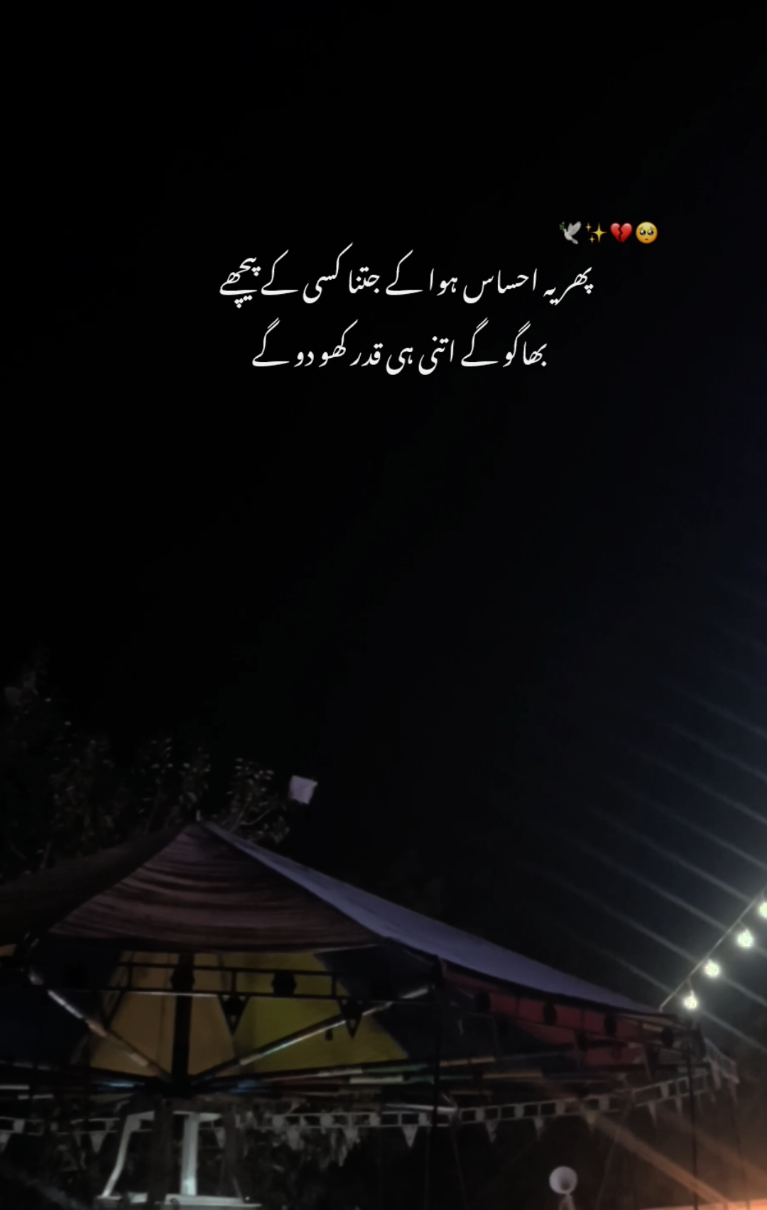 absolutely🥺🫰♥️#repost#sadpoetry#viralvideos#aestheticvideos#1millionaudition#urdupoetry#poetrystatus#growmyaccount 