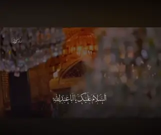#اللهم_صل_على_محمد_وآل_محمد #هزاره_ازبک_تاجک_پشتون_ترکمن_🇦🇫 #fyp #کربلا #محرم 