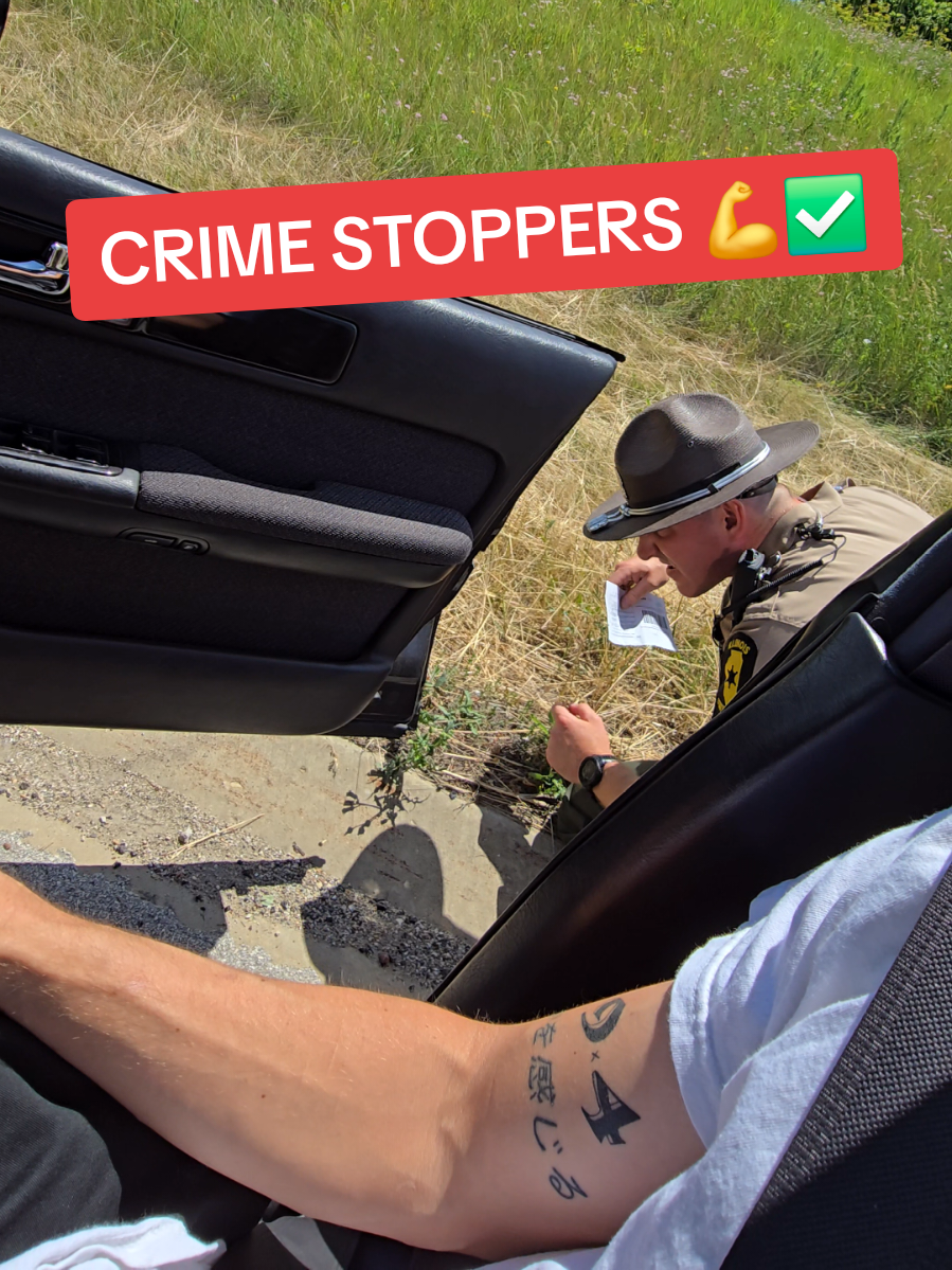 big crime busta  