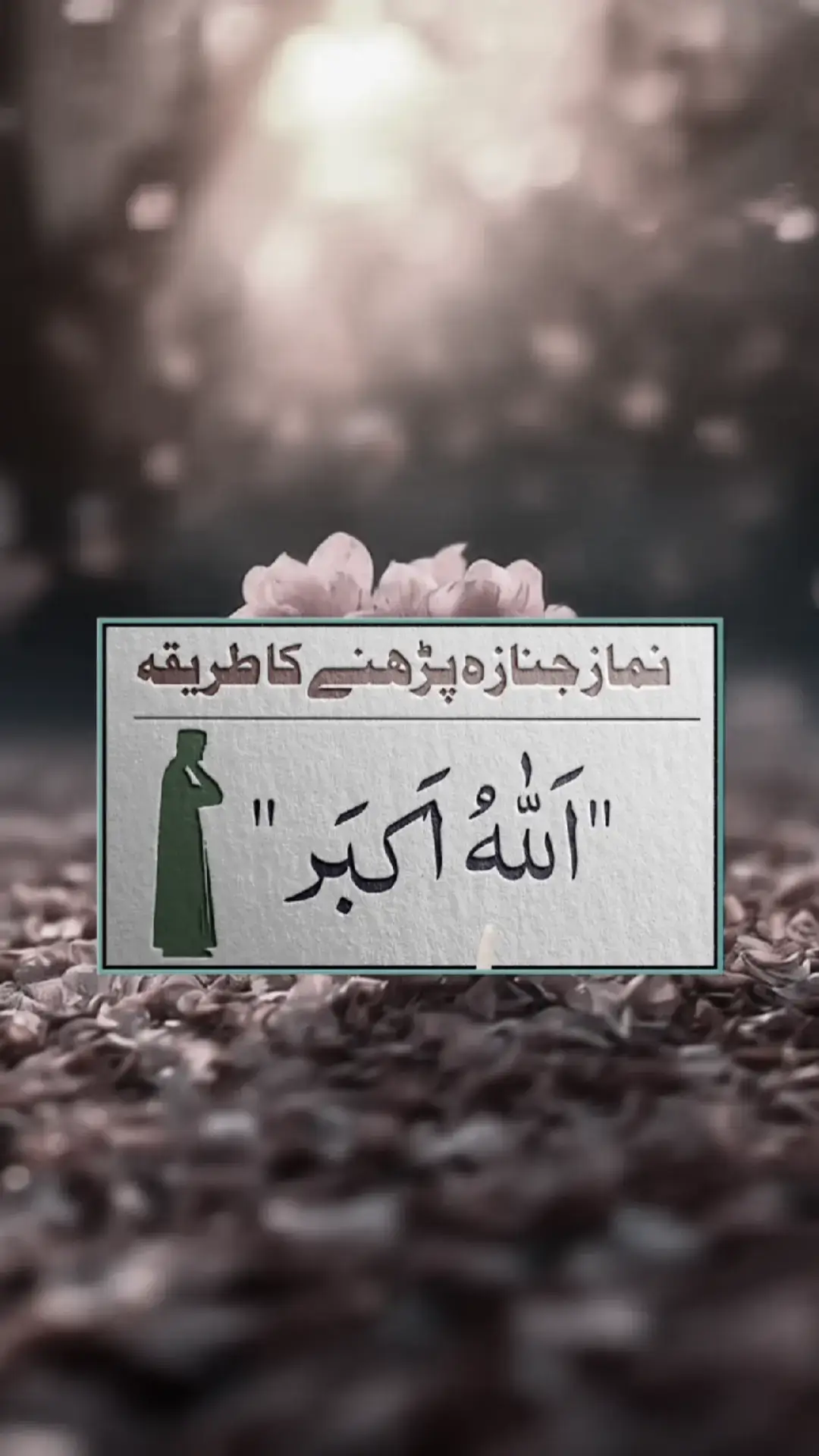 #allah #muhammad #islamic #foryou #foryoupage #standwithkashmir #kashmirgroup #makkah #madina #CAPCUT #hellotiktok #powerkapunch 