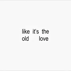 ||like it’s the old love|| Reqested song!! #oldlove #yuji #putridahlia #lyrics #brat #bratlyrics #fyp #zyxcba #lyric_edit 