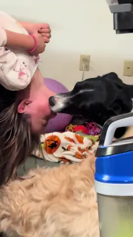 Ewwww 😂 #dogsoftiktok #funnyvideos #dogkisses 