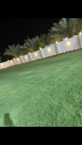 #المساري_طال_عمرك👑❤️ 