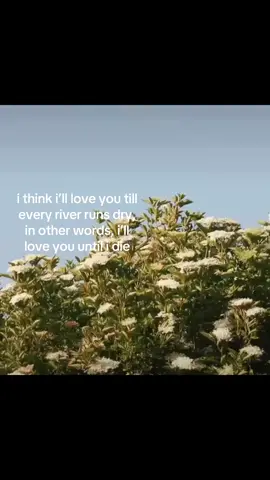 #viral #foryoupage #relatable #Love video : ?