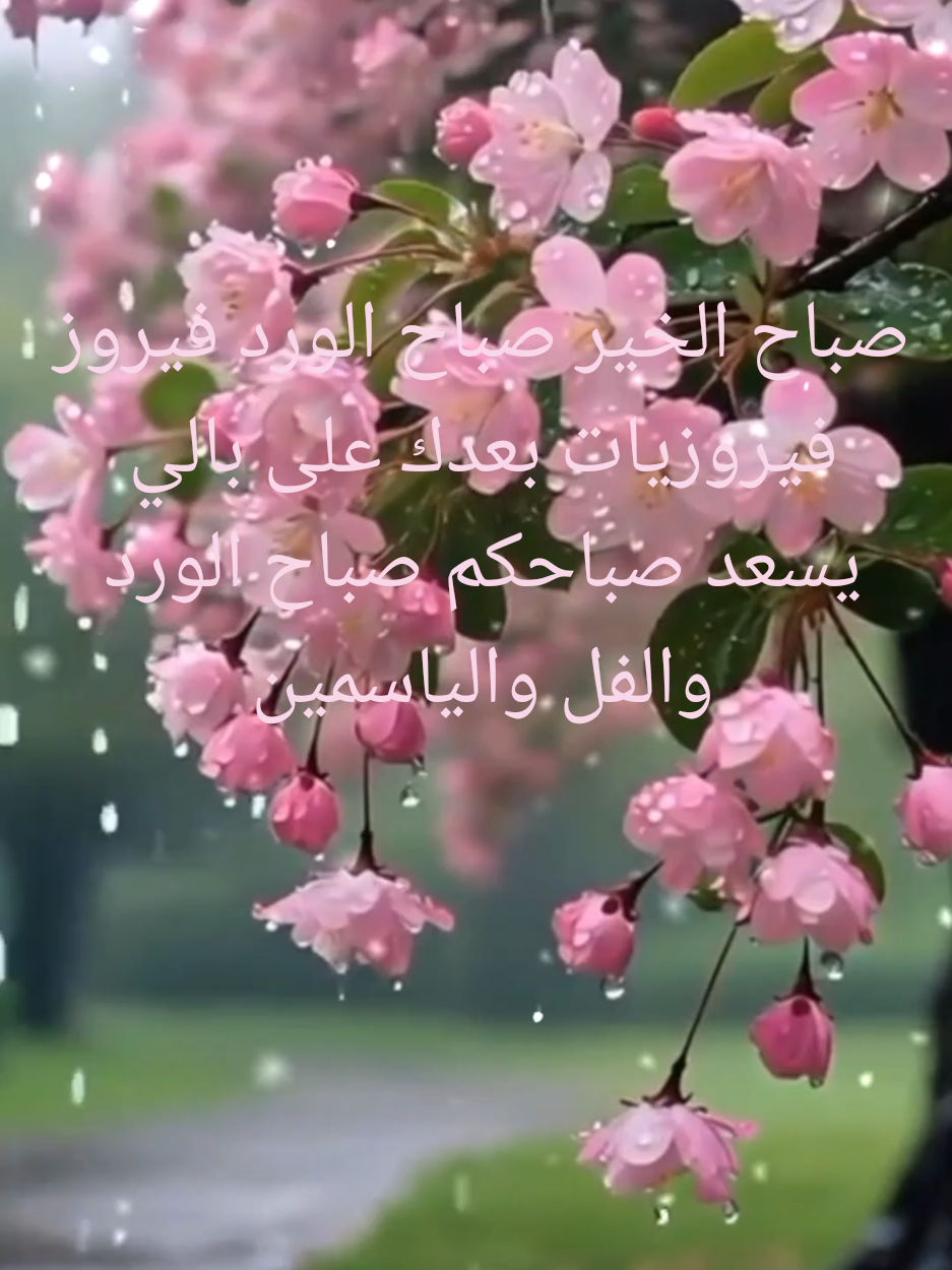 صباح الخير صباح الورد فيروز فيروزيات 🌹 بعدك على بالي 🌹🥰🇱🇧😊💌 #صباح_الخير 🌷🌸🌺🎶😄🩵😚 #صباح_الورد 🥹♥️🤩🦋💐💖💟 #فيروزيات 🫂🌼😘💕❤️🤍😍 #فيروز ❣️💋☺️💝👍🩷💘💓🌞 #بعدك_على_بالي 😘🥰😍🤩🕳️🤍 #صباحكم_أحلى_صباح  #يسعد_صباحكم  #لبنان_مصر_الخليج_سوريا  #بيروت_لبنان  #قهوه #لبنان🇱🇧  #المغرب🇲🇦تونس🇹🇳الجزائر🇩🇿 