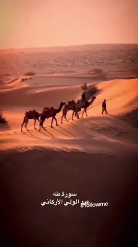 🌿ورتل القرآن 🍃تلاوة خاشعة لسورة  #سورة طه سلسلة قصص الأنبياء من القران #قصص 
