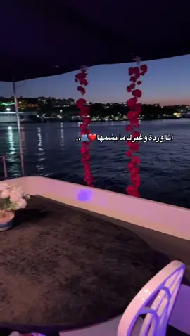 مع مين حابين هيك تقعدو؟ #viral #لايكات #اكسبلورررررررررررررررررررر #foryoupage #פוריוישראל #like #explore #fyp #foryou #עברית #الناصره_الشامخه👑🦅 #محضوره_من_الاكسبلور_والمشاهدات #مشاهير_تيك_توك 