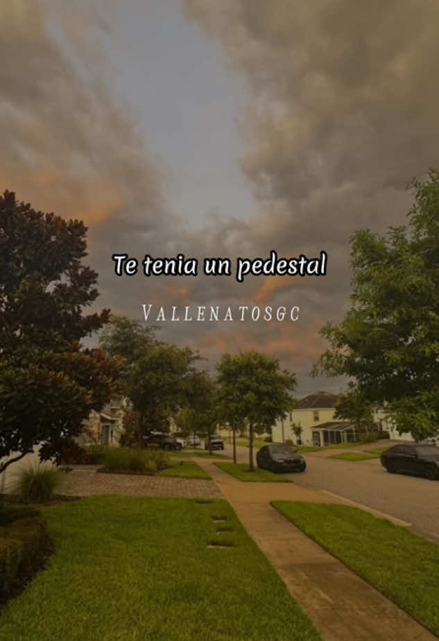 Te tenia en un pedestal, ya eras dueña de mi suerte 🤌🏼❤️‍🩹 #bimomiodeoro #vallenatosgc #pyf #paratii #vallenatosromanticos #v #musica #buscar #sugerencias #compartir 