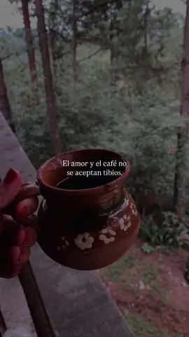 Eso dicen los expertos ☕️🤎 #karolg #marcoantoniosolis #heridas #lirycs #estadosparawhatsapp #frasesdeamor #Cafe #Amor #canciones #español #romantic #letrasdecanciones #tiempo #rolitaschidas 