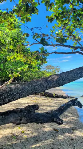 Jika masalahmu seluas lautan, maka do’a mu harus sedalam samudra. #healing #pantai #mantai #cijeruk #hiddengem #beach #dateideas 