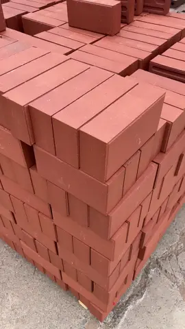 200x100x50 clay bricks.pave the courtyard.sidewalk #claybricks #madeinchina 