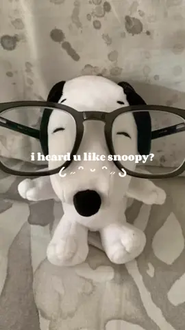 check basket for snoopy ૮ ˶ᵔ ᵕ ᵔ˶ ა !! #fyp #zyxcba #snoopy #peanuts 