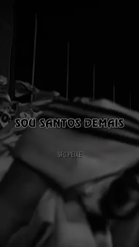 Sou SANTOS demais! 🏳️🏴 #santosfc #torcidajovemsantos 