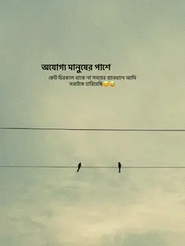 অযোগ্য মানুষের পাশে কেউ চিরকাল থাকে না সময়ের ব্যাবধানে আমি সবাইকে হারিয়েছি😊😅#fypシ #foryoupage #trending #bdtiktokofficial #your_jahid_05 @TikTok 