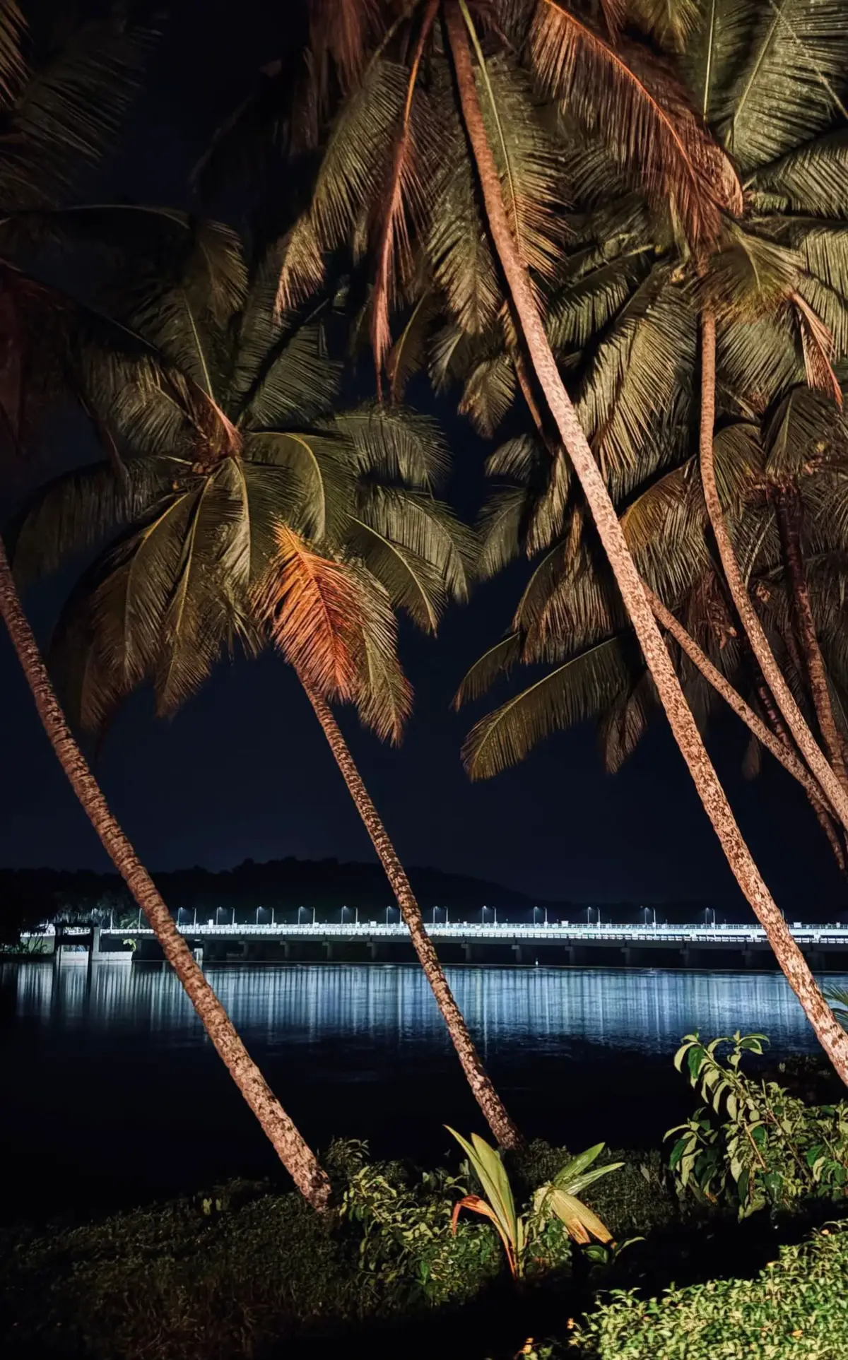 Yearning for the place where every moment lingers with the comfort of home. #kerala #Home #missing #fyp #dubai 