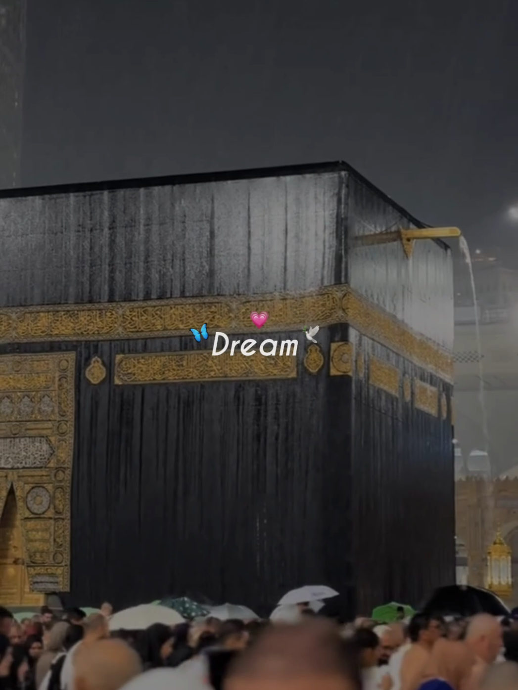 Dream 😭❤️  . . . #mansehra #aesthetic__boii #aesthetic #islamic #islamicposts #jummah #jummahmubarak #islamic_video #viral #grow #account #status #millionstar #tiktok #foryoupage #foryou #video 