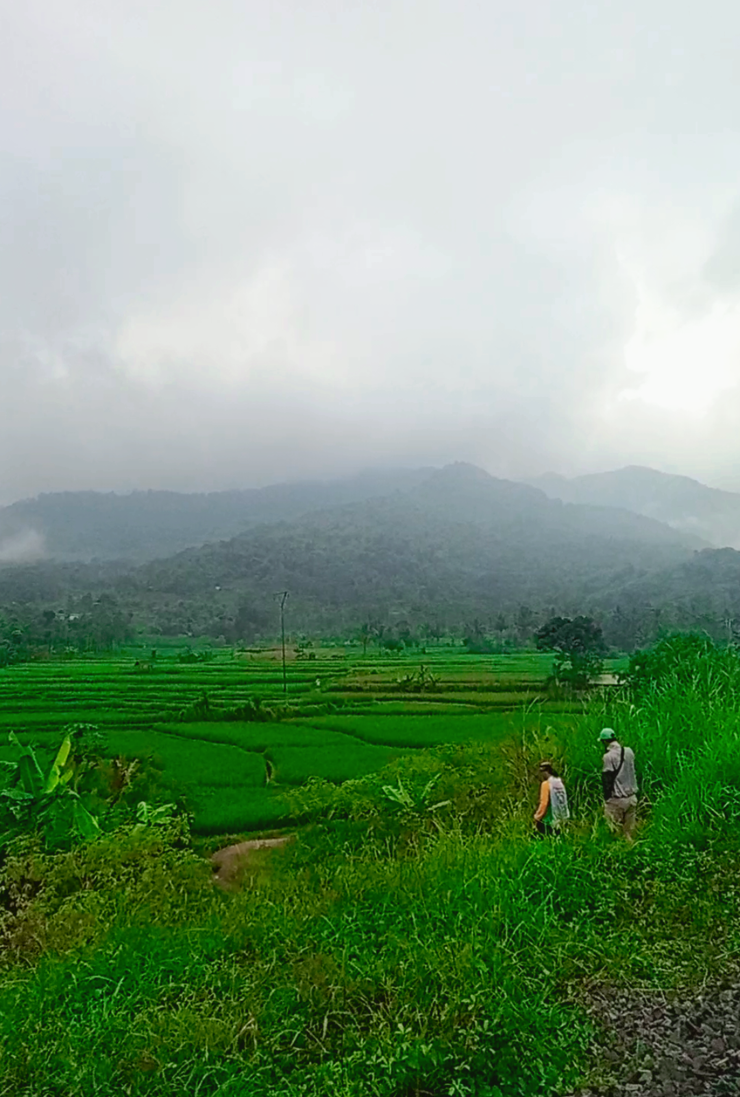 Cibatu Garut🌾  #cibatugarut #garutjawabarat #garutpride🔥 #indonesia 
