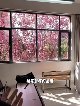 桃花最旺的星座：摩羯座#摩羯座 #土象星座 #分享 #熱門 