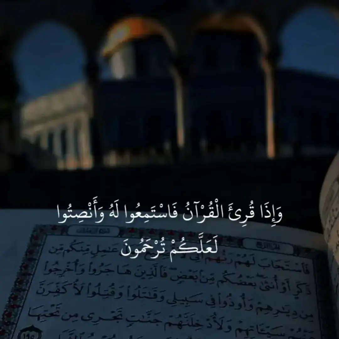 وإذا قرئ القرآن فاستمعوا له وأنصتوا لعلكم ترحمون 🥺🤍☝️ #قران #قرأن_كريم #ارح_سمعك_بالقران #قران_كريم_ارح_سمعك_وقلبك #قران_كريم #قرأن #quran 