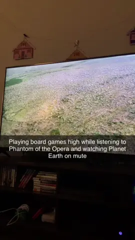 As Andrew Lloyd Webber intended. Best idea we’ve ever had tbh #planetearth #phantomoftheopera #boardgames #davidattenborough 