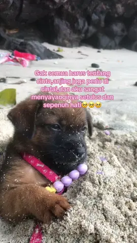 Semuanya juga bisa tentangmu