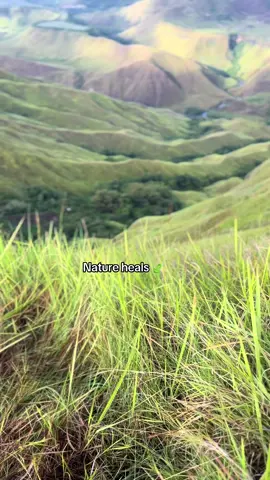 🍃#fyp #fypシ゚ #bukidnon 