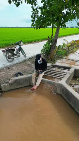 Hog ấy mình dừng lại đi 🌾