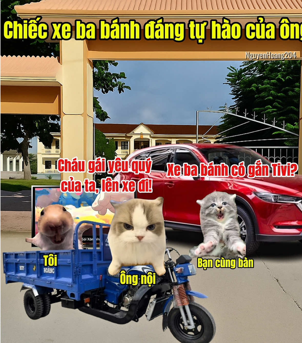 Chiếc xe ba bánh đáng tự hào của ông nội #meme #catmeme 