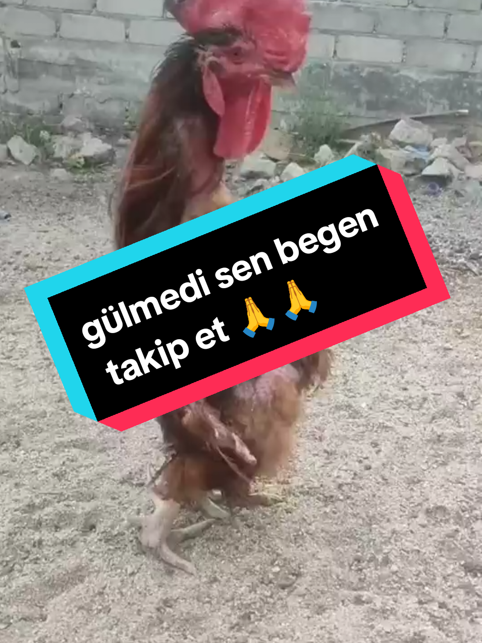#komikvideo #gülmekgaranti #kemalsunal #inekşaban❤️❤️ #çokiyi #fyppp #gulmeli_videolar @꧁✨ᏰᎯᎽッᏦᏒᎯᏝ✨꧂ 
