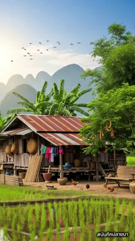บรรยากาศเก่าๆ ที่ชวนคิดถึง | ความทรงจำชนบทไทย ##บันทึกปลายนา #ความสุขจากธรรมชาติ #ชีวิตเรียบง่าย #บ้านนอกสมัยก่อน 